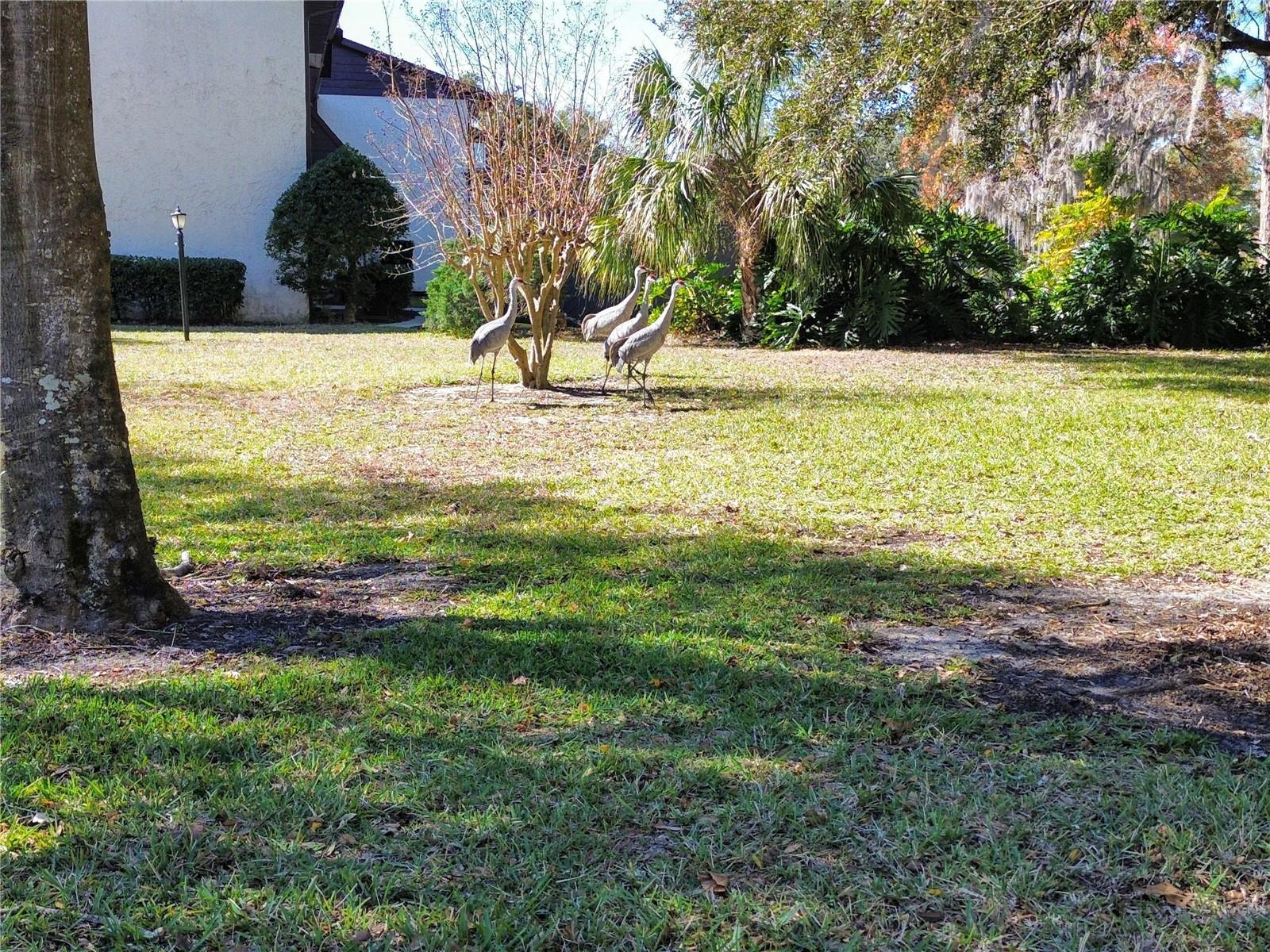 512 FAIRWAYS CIR #A, OCALA, FL — photo 24