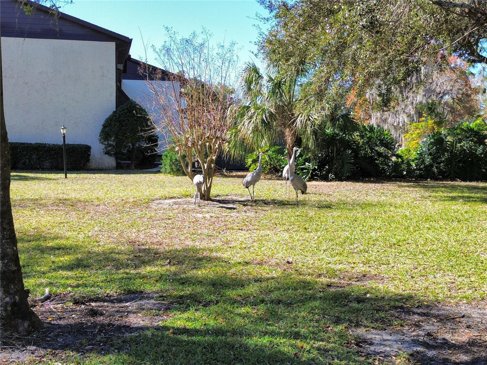 512 FAIRWAYS CIR #A, OCALA, FL — photo 25