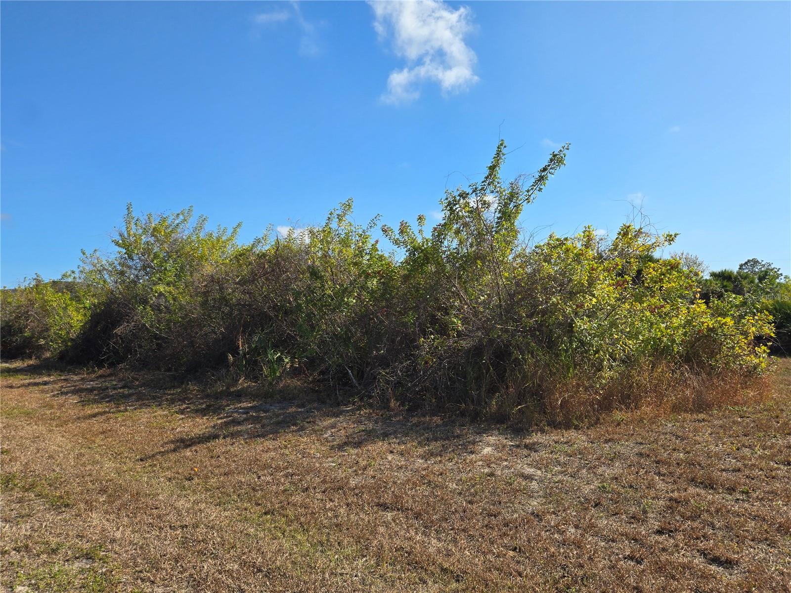 277 BAYTREE DR, ROTONDA WEST, FL