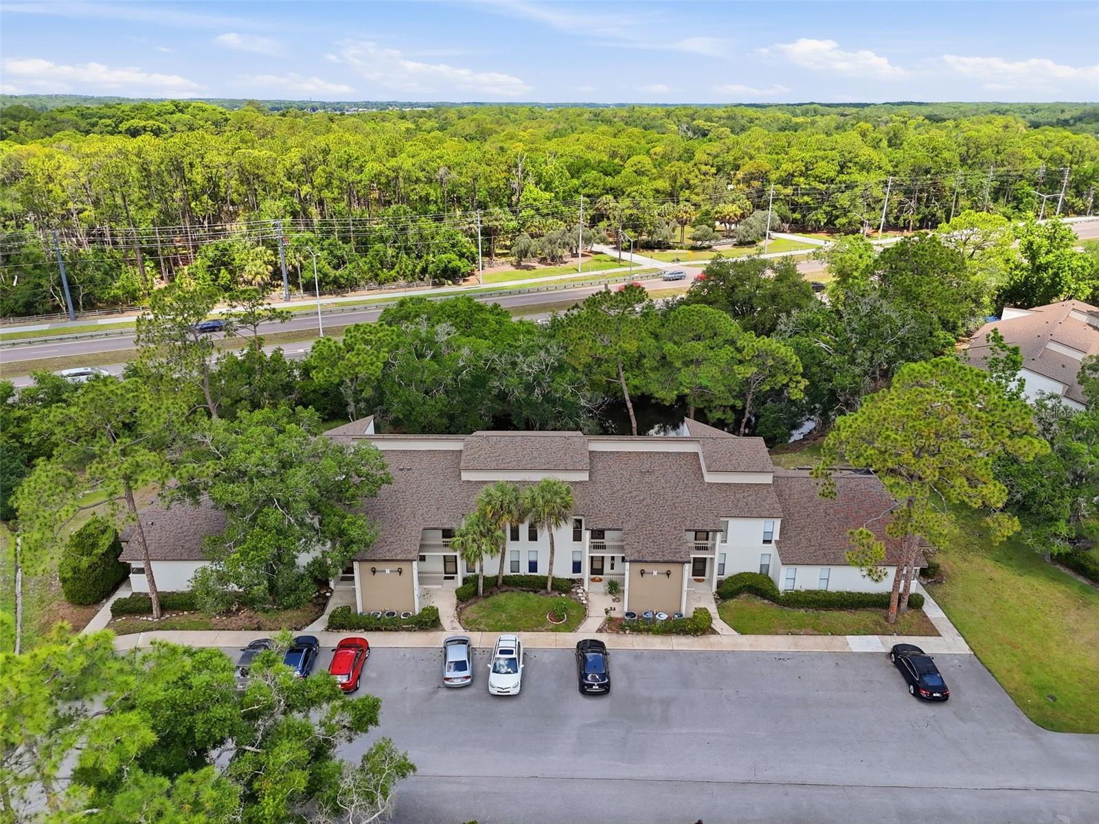 1200 TARPON WOODS BLVD #N2, PALM HARBOR, FL — photo 24