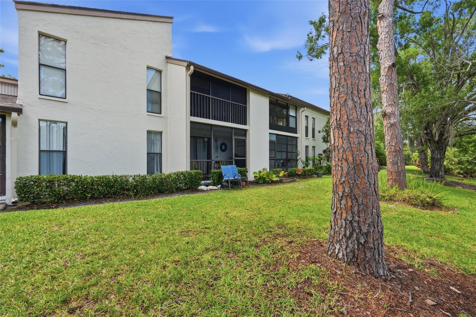 1200 TARPON WOODS BLVD #N2, PALM HARBOR, FL — photo 21