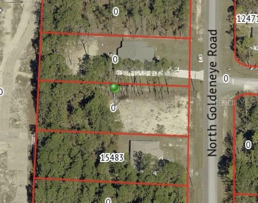 15493 PENN STATE RD, WEEKI WACHEE, FL — photo 3