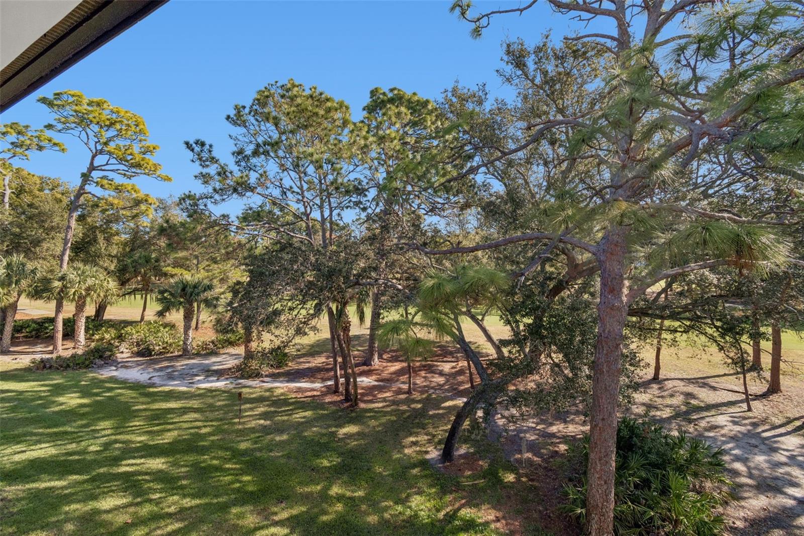 36750 US HIGHWAY 19 N #19306, PALM HARBOR, FL — photo 29