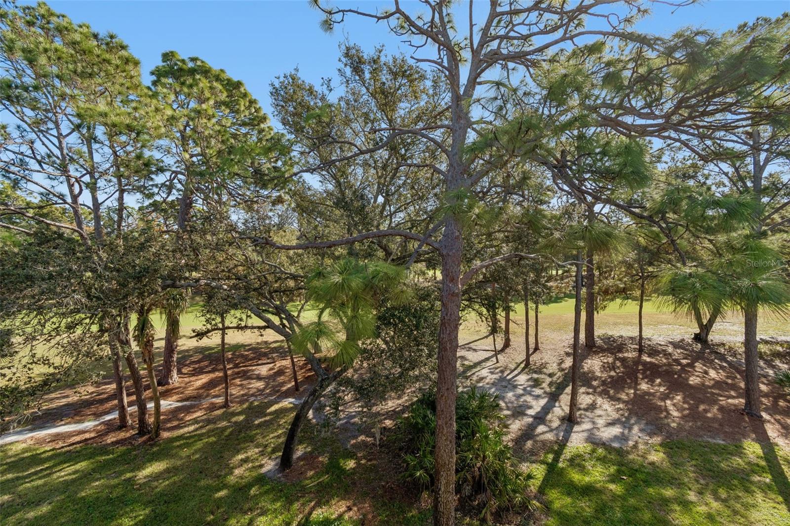 36750 US HIGHWAY 19 N #19306, PALM HARBOR, FL — photo 30