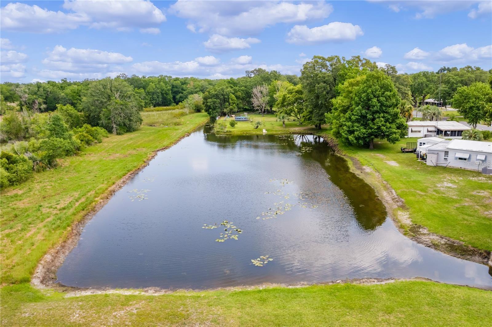 302 IVANHOE CIR, LADY LAKE, FL — photo 5