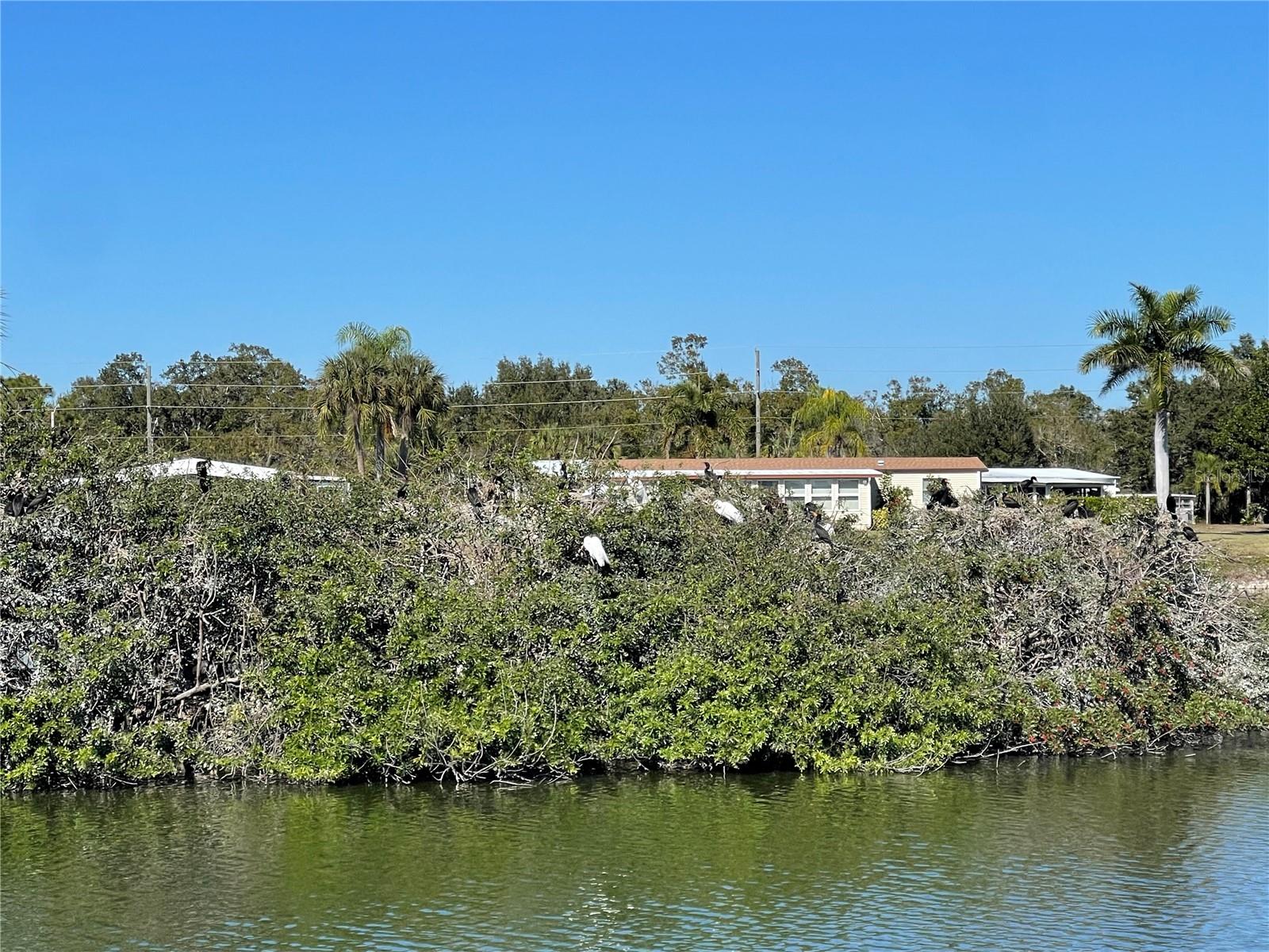 1303 SANDERLING DR, ENGLEWOOD, FL — photo 15