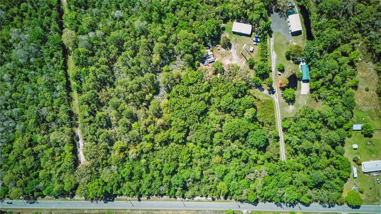 HARRISON RD, MIMS, FL — photo 4