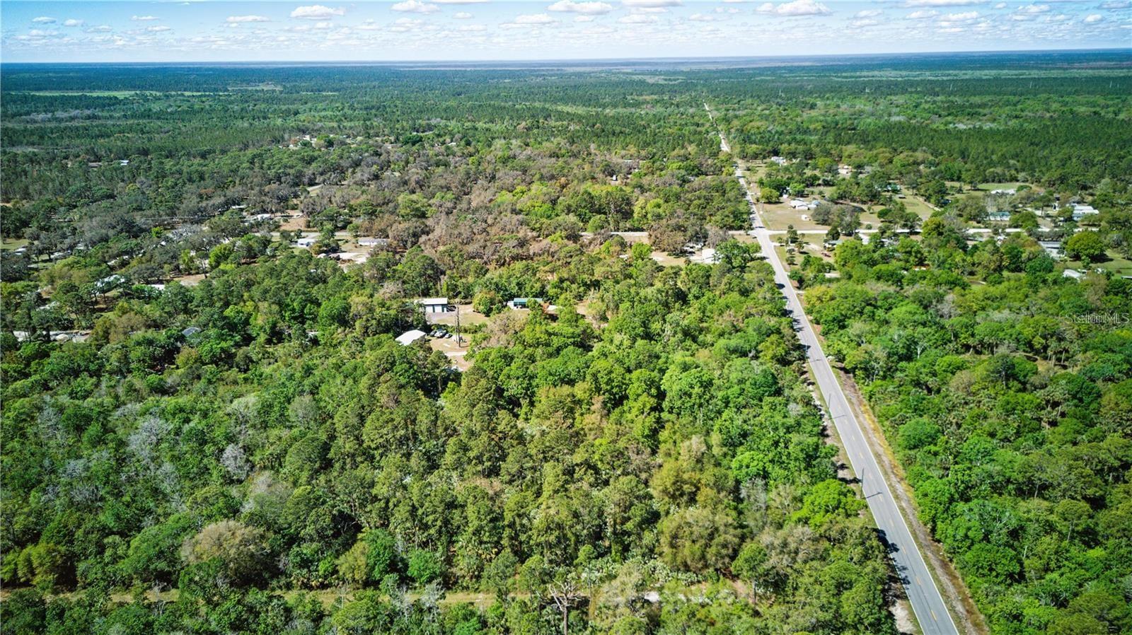 HARRISON RD, MIMS, FL — photo 3