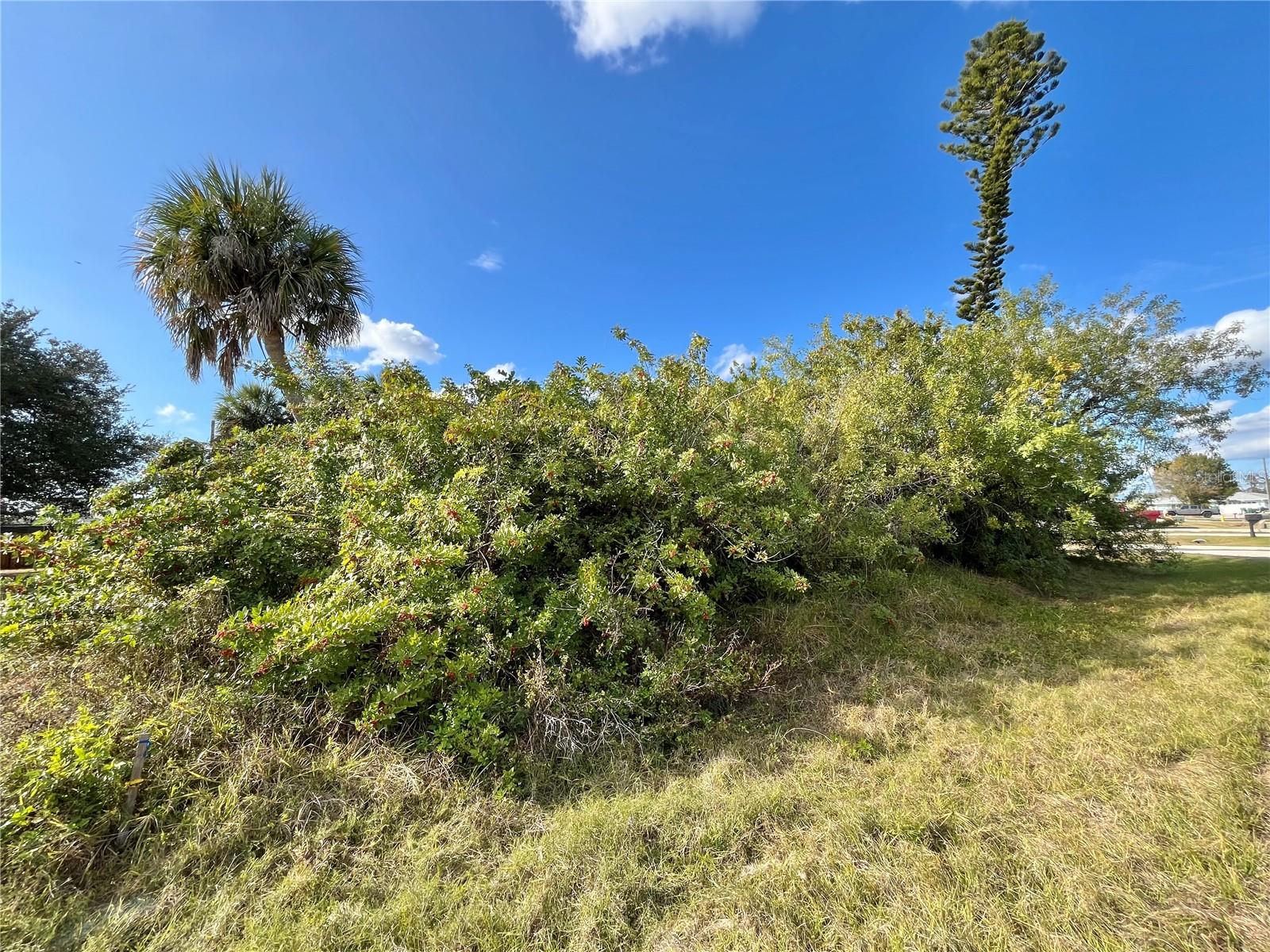 4231 ONEILL ST, PORT CHARLOTTE, FL — photo 3