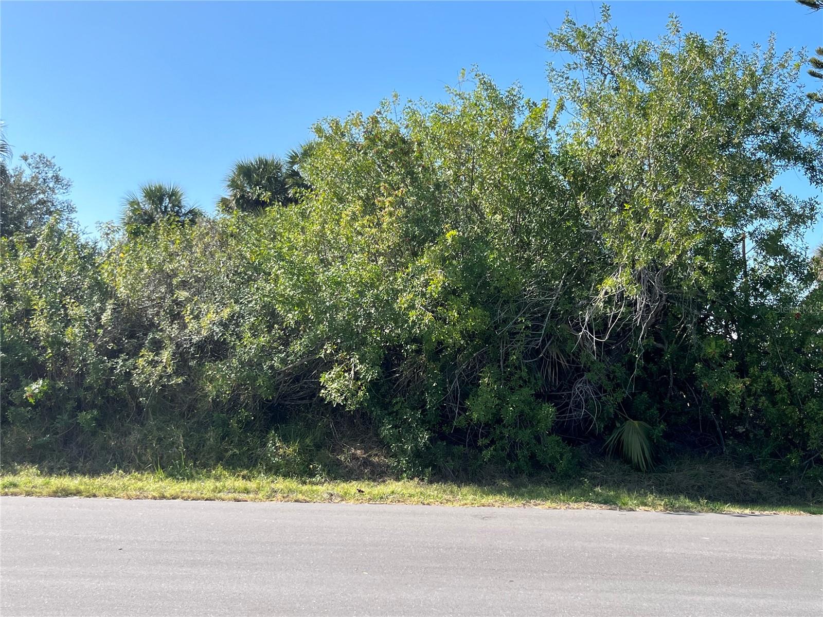 4231 ONEILL ST, PORT CHARLOTTE, FL — photo 5
