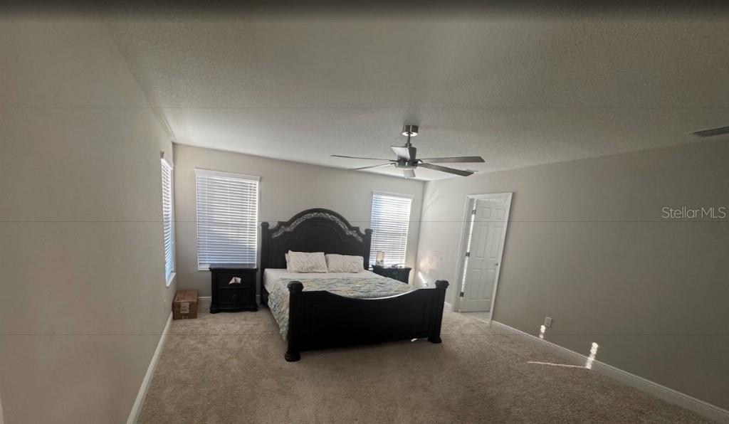 14698 HORSE TROT RD, LITHIA, FL — photo 7