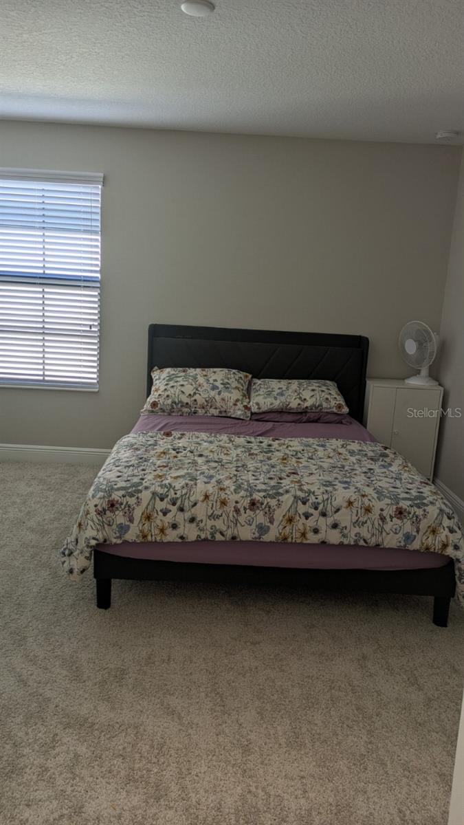 14698 HORSE TROT RD, LITHIA, FL — photo 8