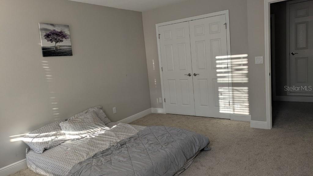 14698 HORSE TROT RD, LITHIA, FL — photo 13