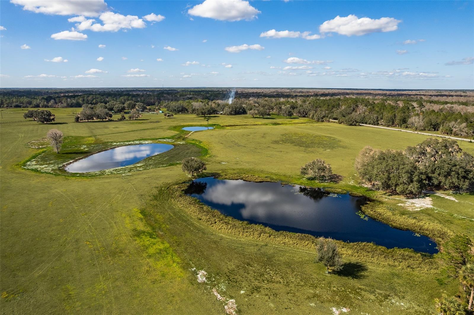 CYPRESS MILL RD, SORRENTO, FL — photo 24