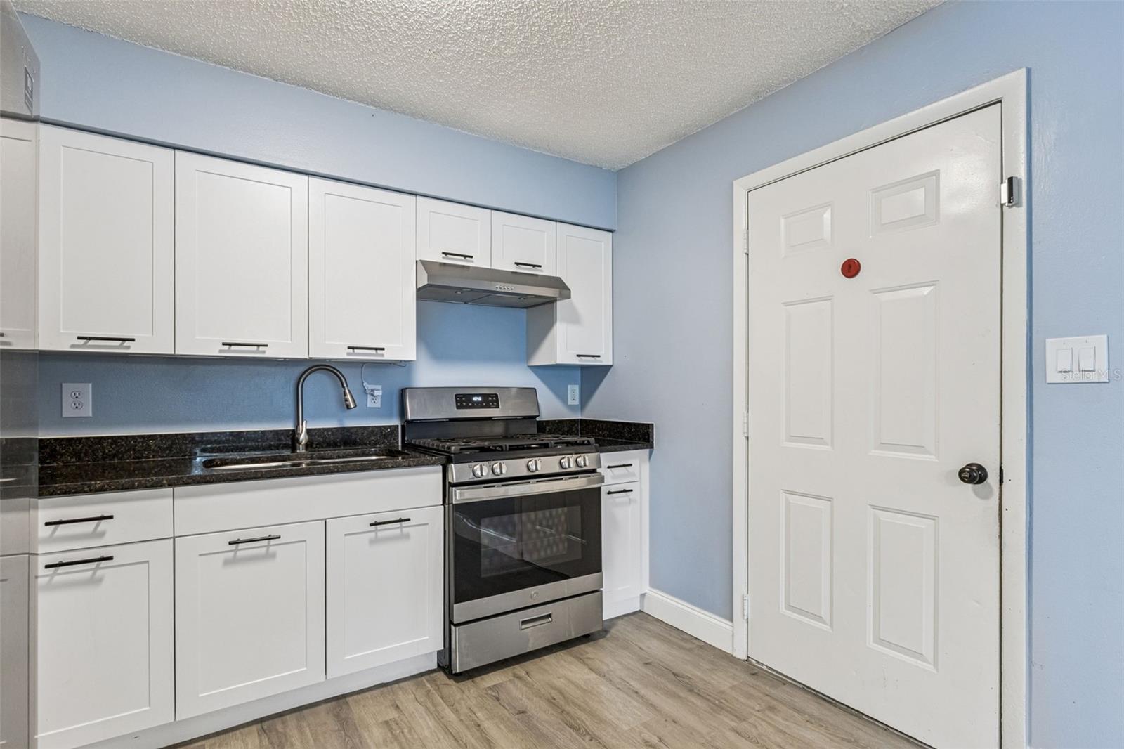 690 E JACKSON AVE, MOUNT DORA, FL — photo 23