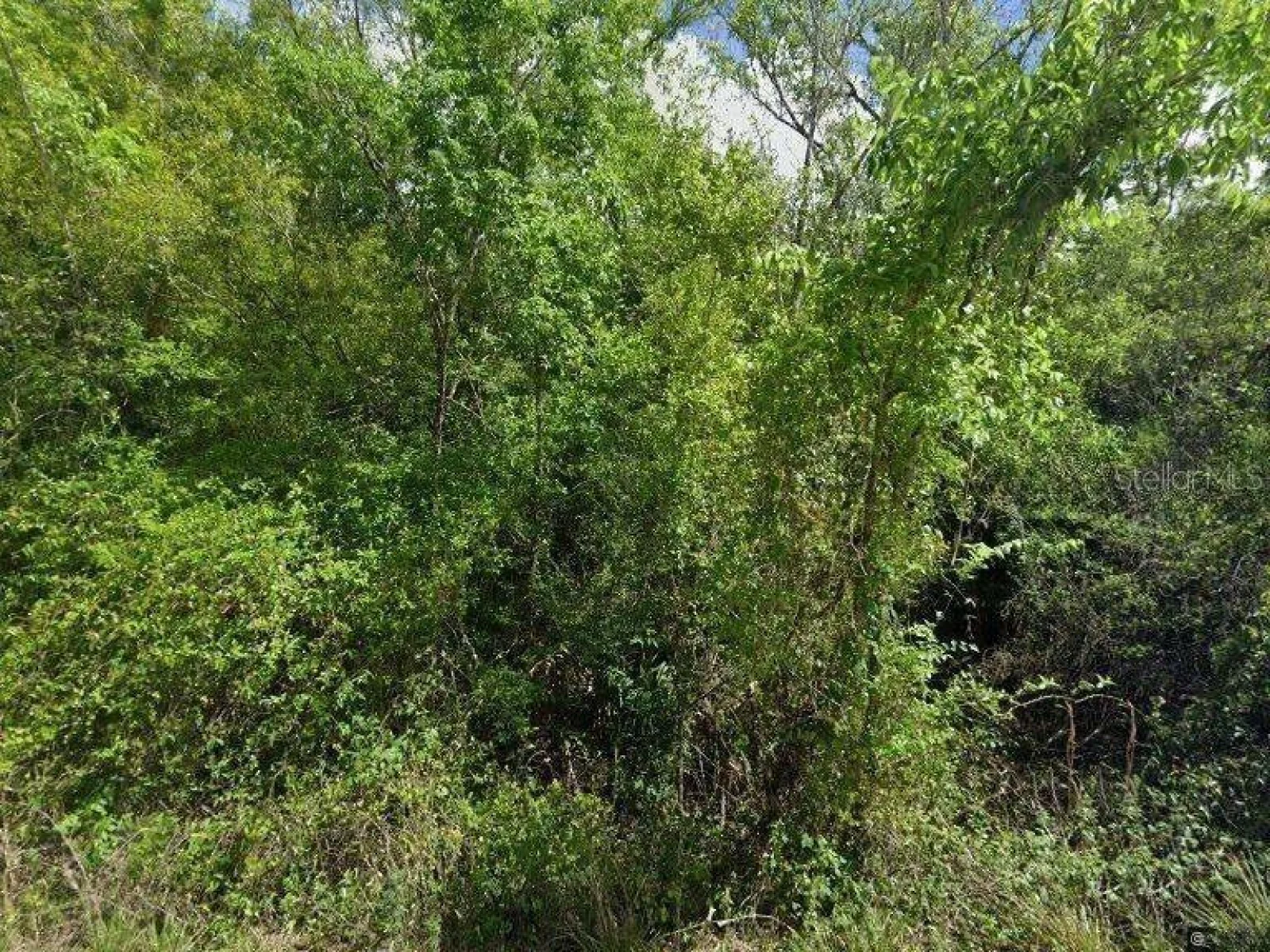 8115 SW HORSE CREEK RD, ARCADIA, FL — photo 2