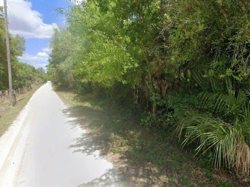 8115 SW HORSE CREEK RD, ARCADIA, FL