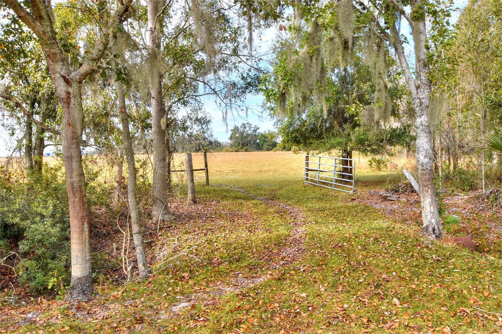 COLDING LOOP, WIMAUMA, FL — photo 2