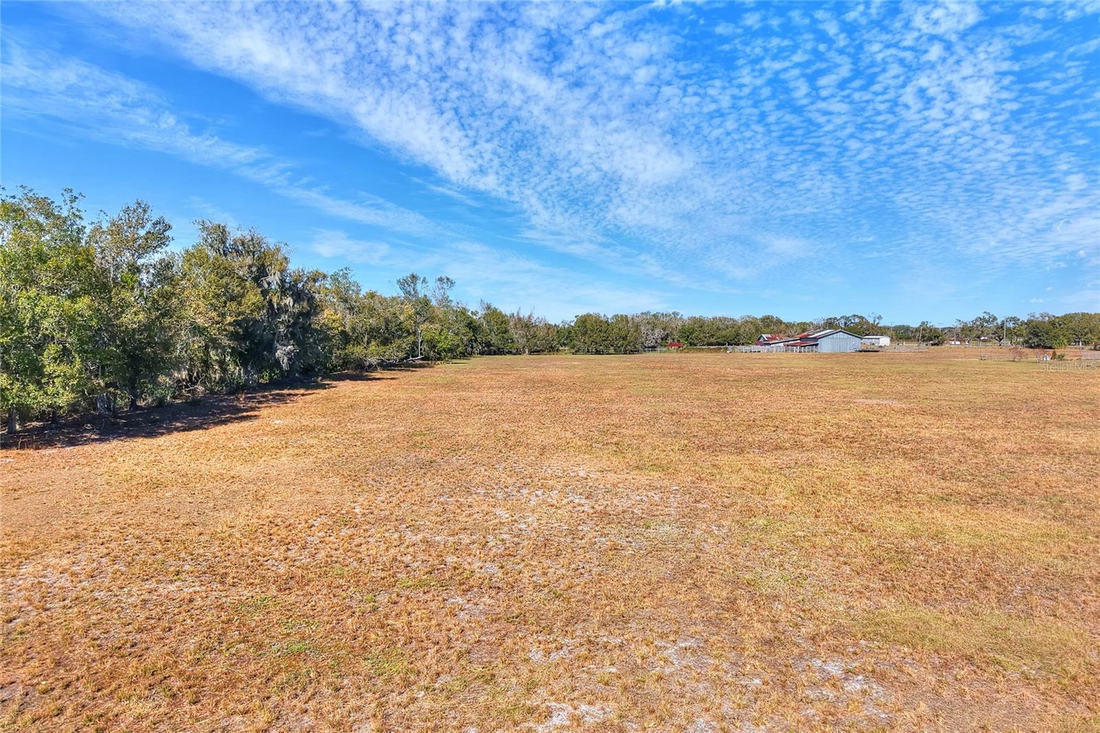 COLDING LOOP, WIMAUMA, FL — photo 3