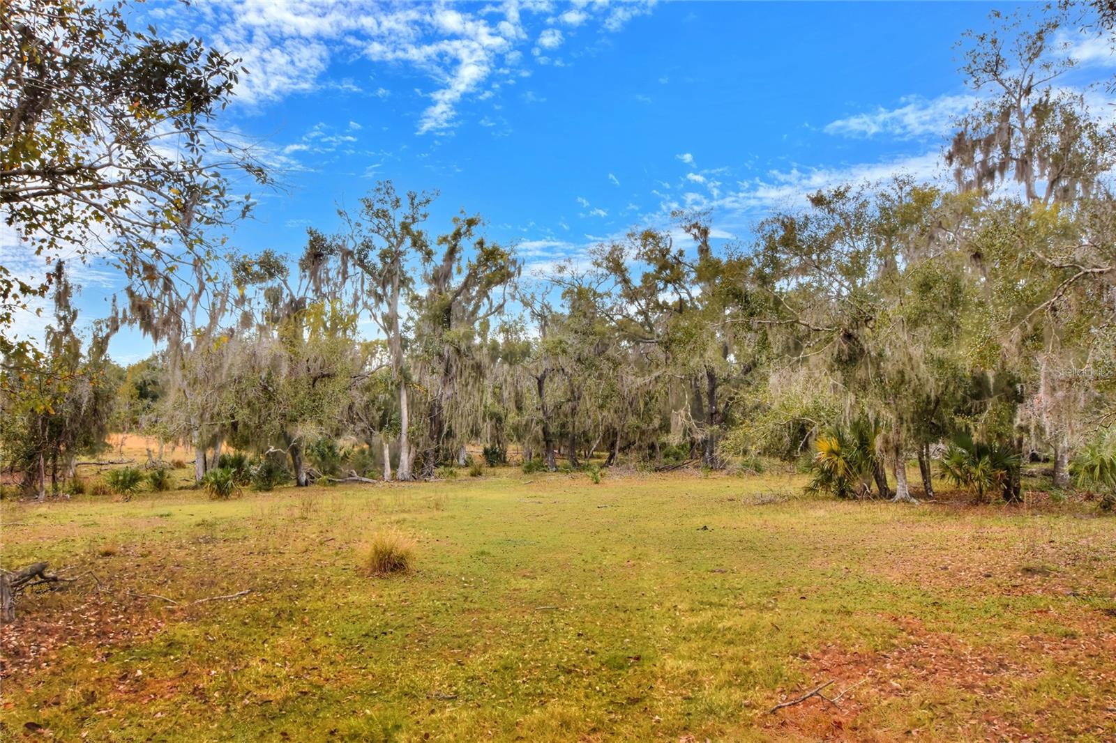 COLDING LOOP, WIMAUMA, FL — photo 3