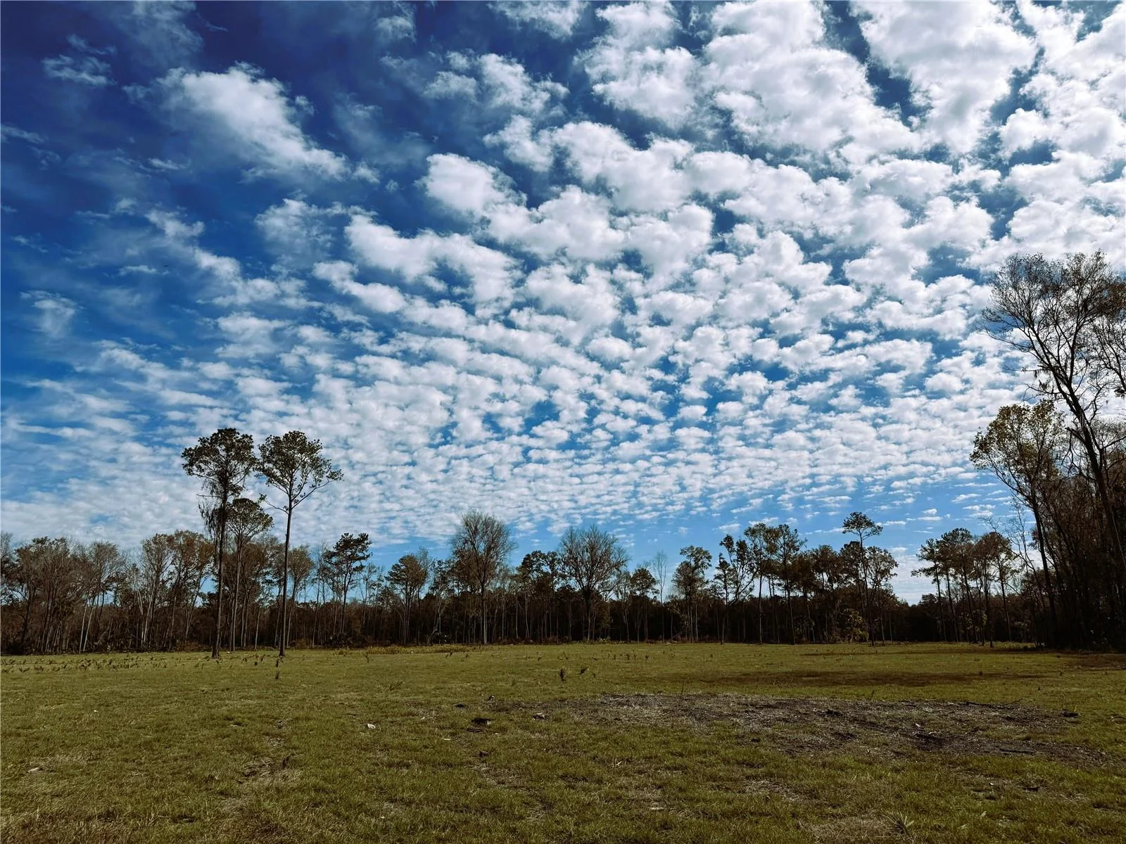 DR #3 (10ac) NW 193RD ST, MICANOPY, FL — photo 1
