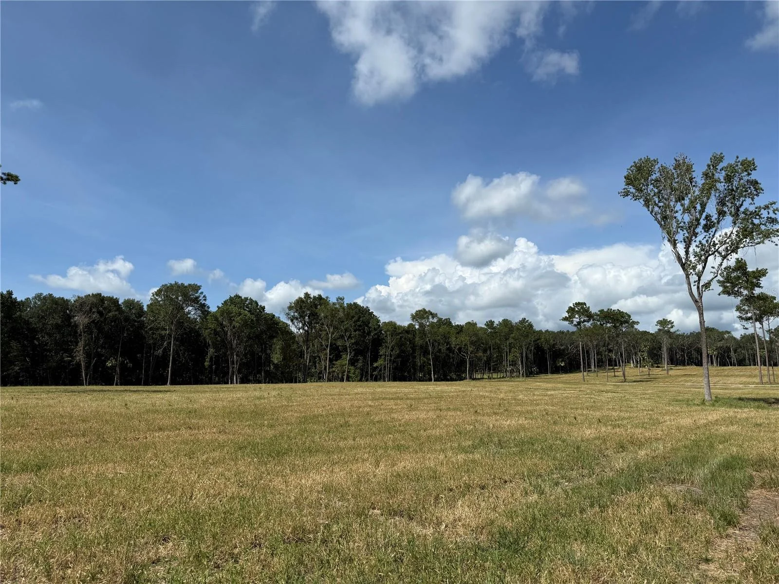 DR #3 (10ac) NW 193RD ST, MICANOPY, FL — photo 3