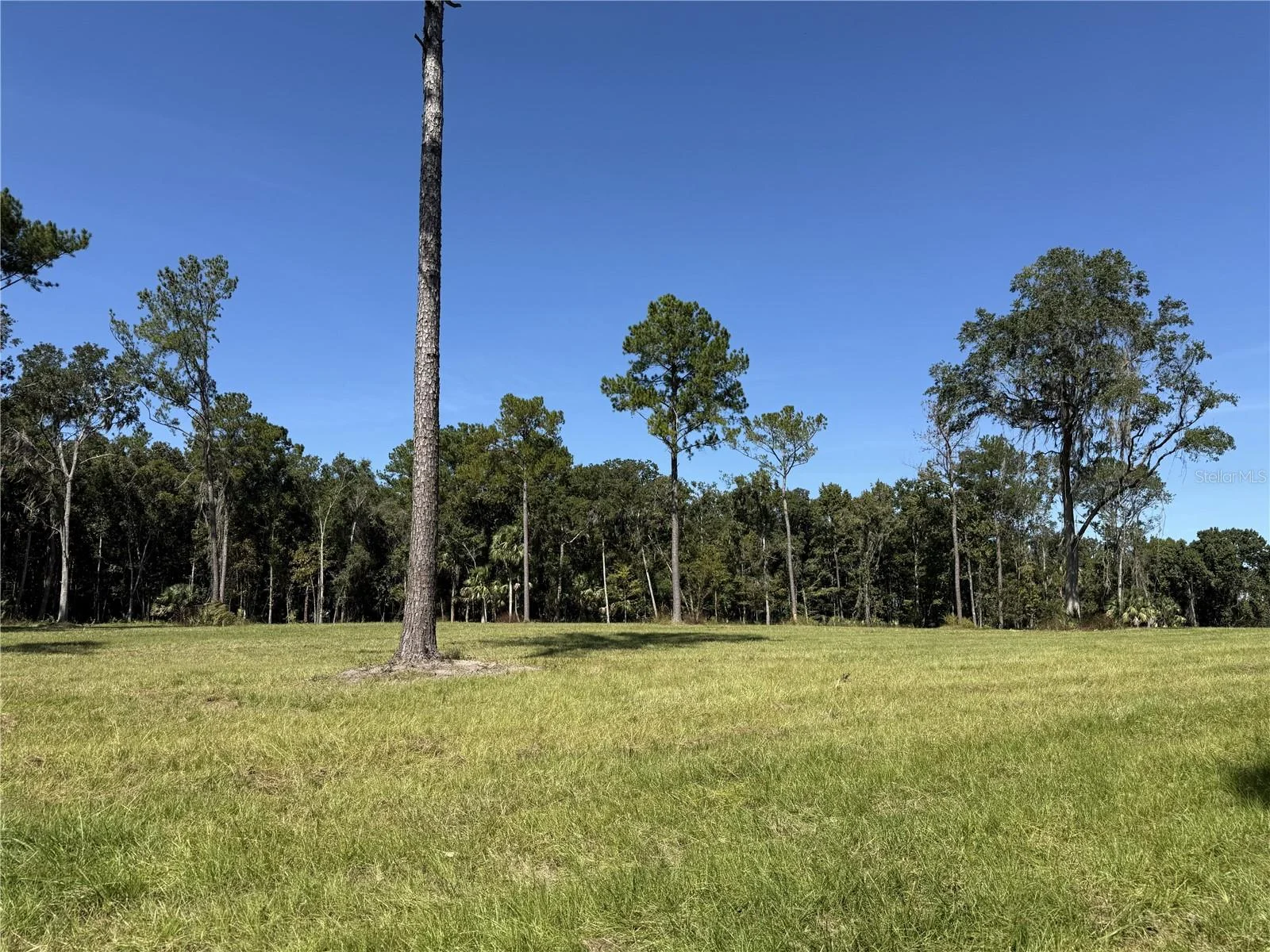 DR #3 (10ac) NW 193RD ST, MICANOPY, FL — photo 5