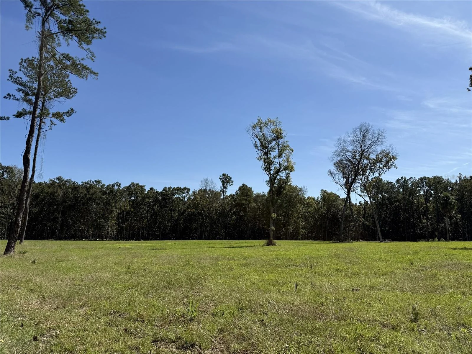DR #3 (10ac) NW 193RD ST, MICANOPY, FL — photo 6
