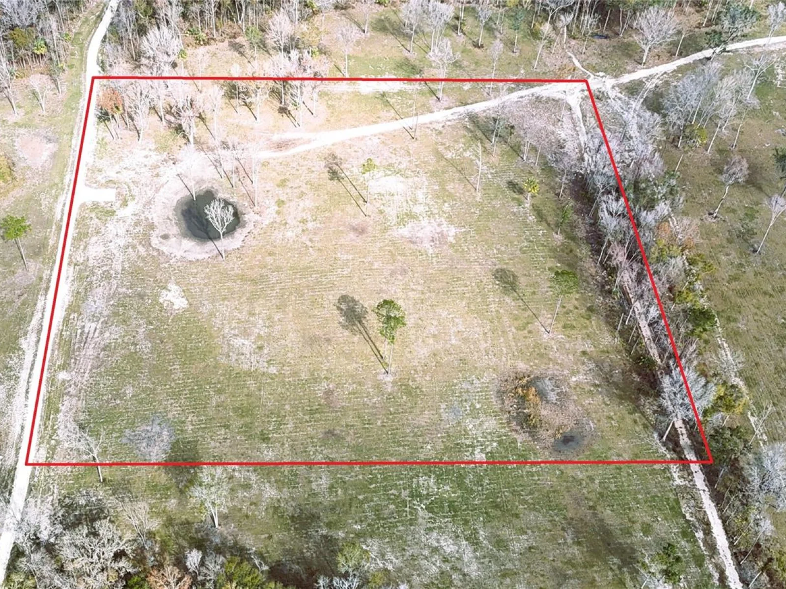 DR #3 (10ac) NW 193RD ST, MICANOPY, FL — photo 7