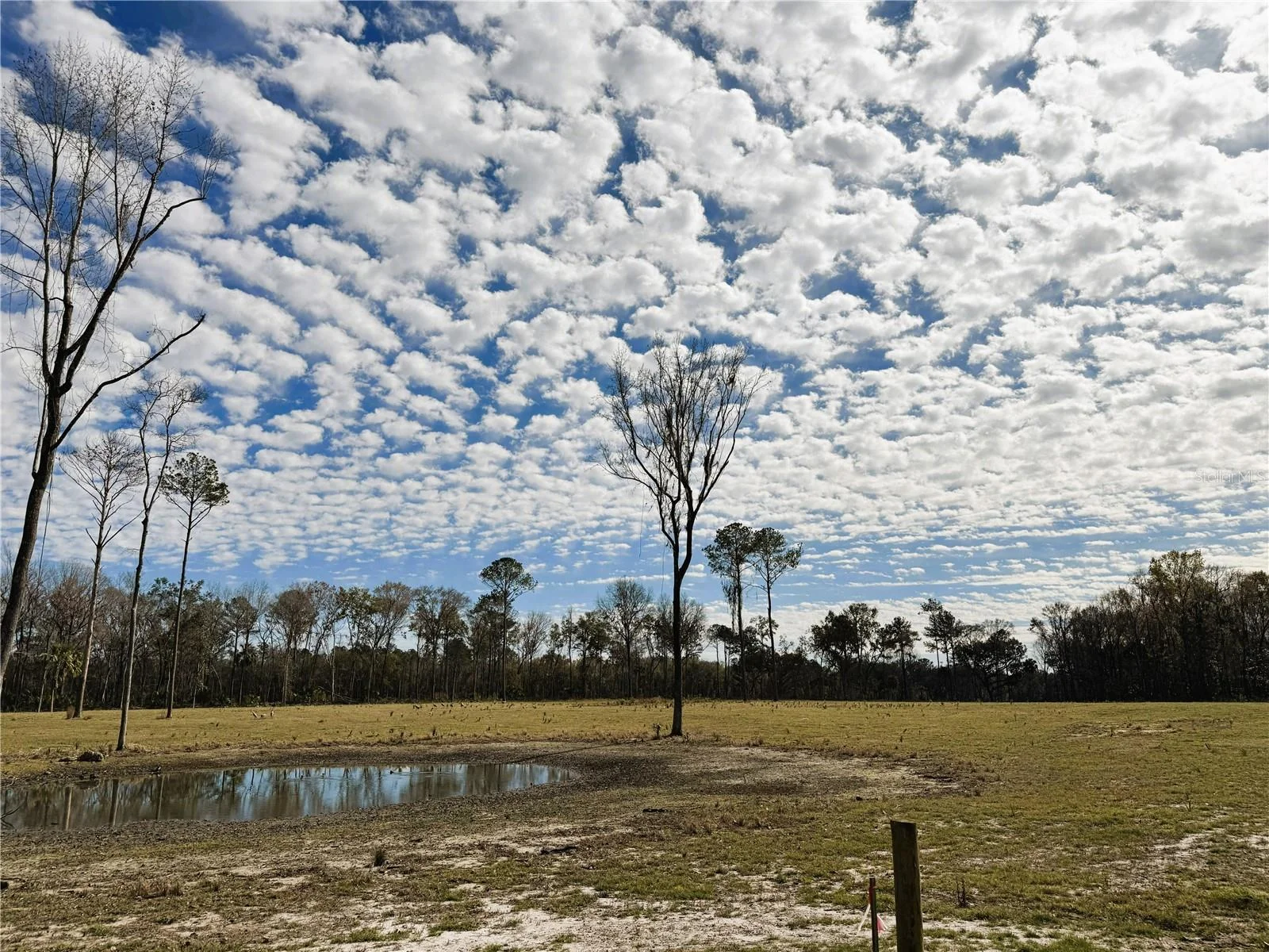 DR #3 (10ac) NW 193RD ST, MICANOPY, FL — photo 8