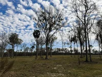 DR #3 (10ac) NW 193RD ST — photo 9