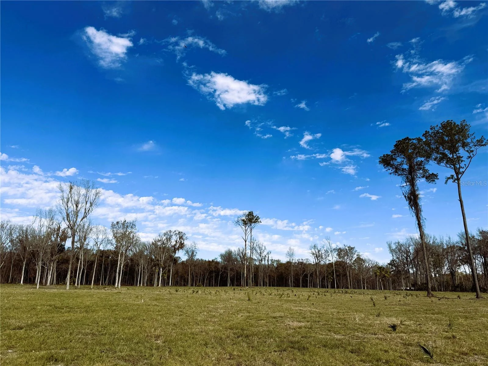 DR #3 (10ac) NW 193RD ST, MICANOPY, FL — photo 10