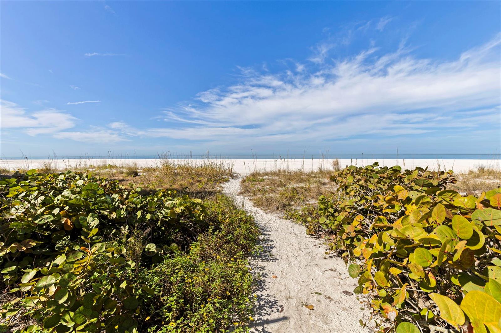 1350 GULF BLVD #704, CLEARWATER BEACH, FL — photo 33