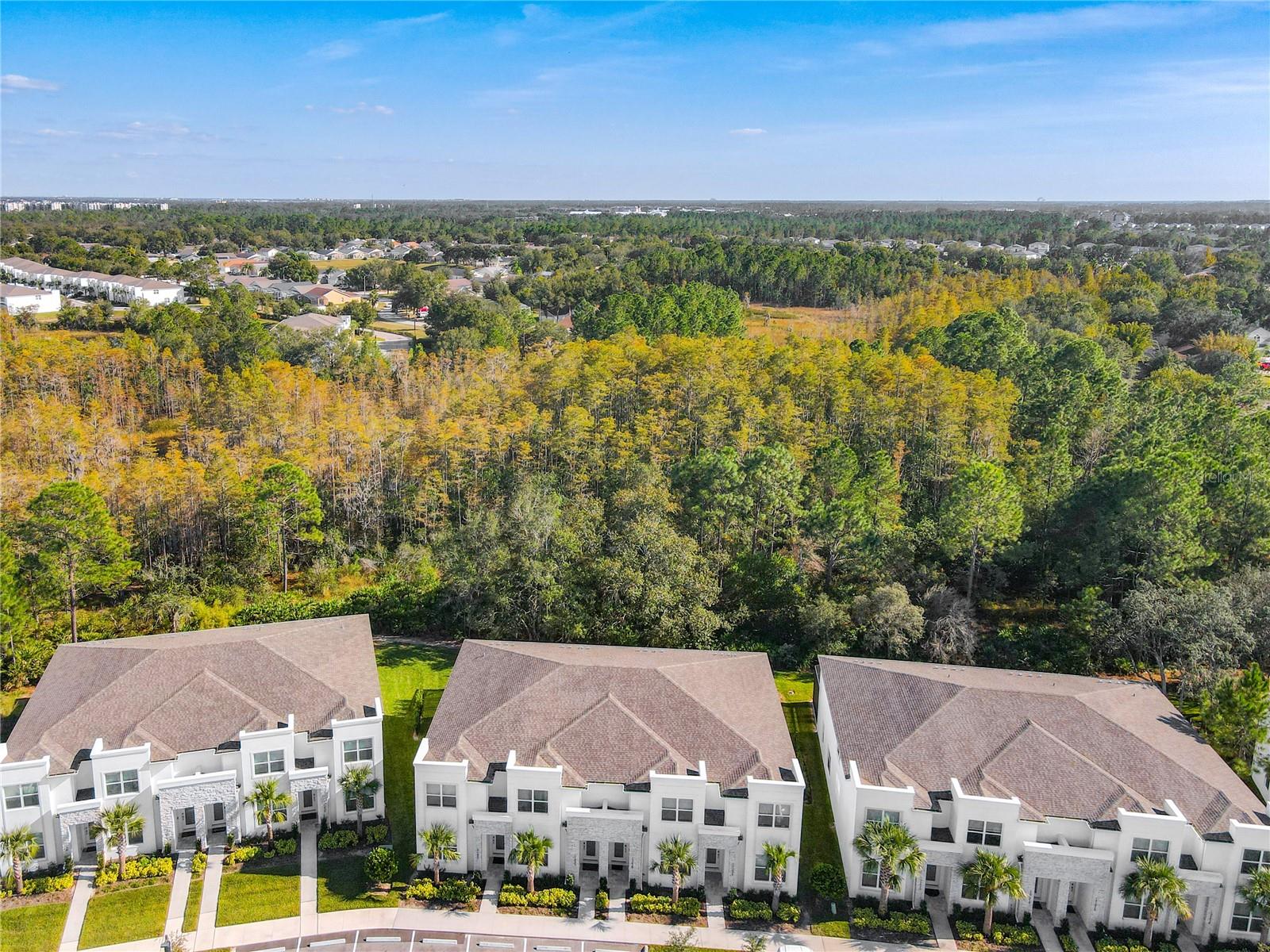 17230 BLESSING DR, CLERMONT, FL — photo 141