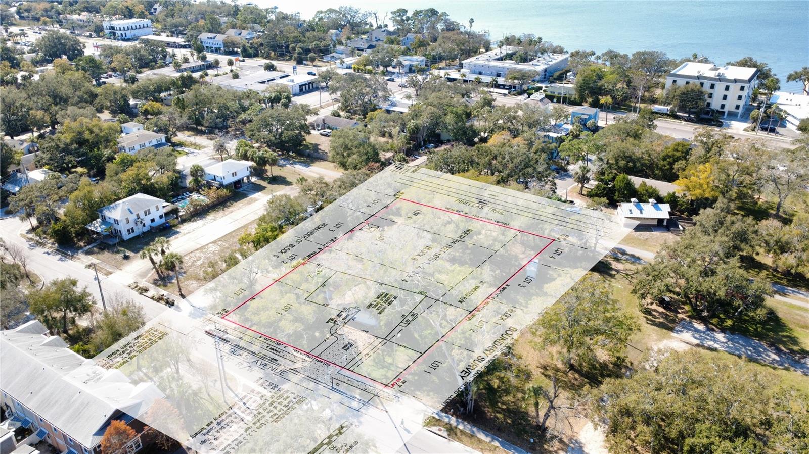 1136 DOUGLAS AVE, DUNEDIN, FL