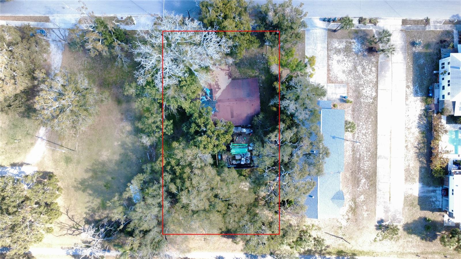 1136 DOUGLAS AVE, DUNEDIN, FL — photo 5