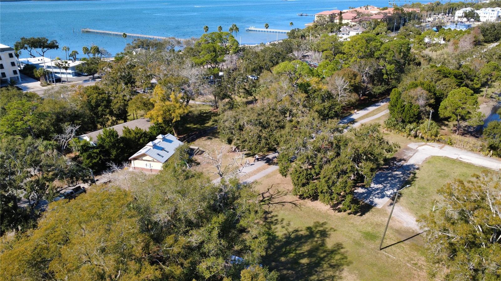 1136 DOUGLAS AVE, DUNEDIN, FL — photo 8