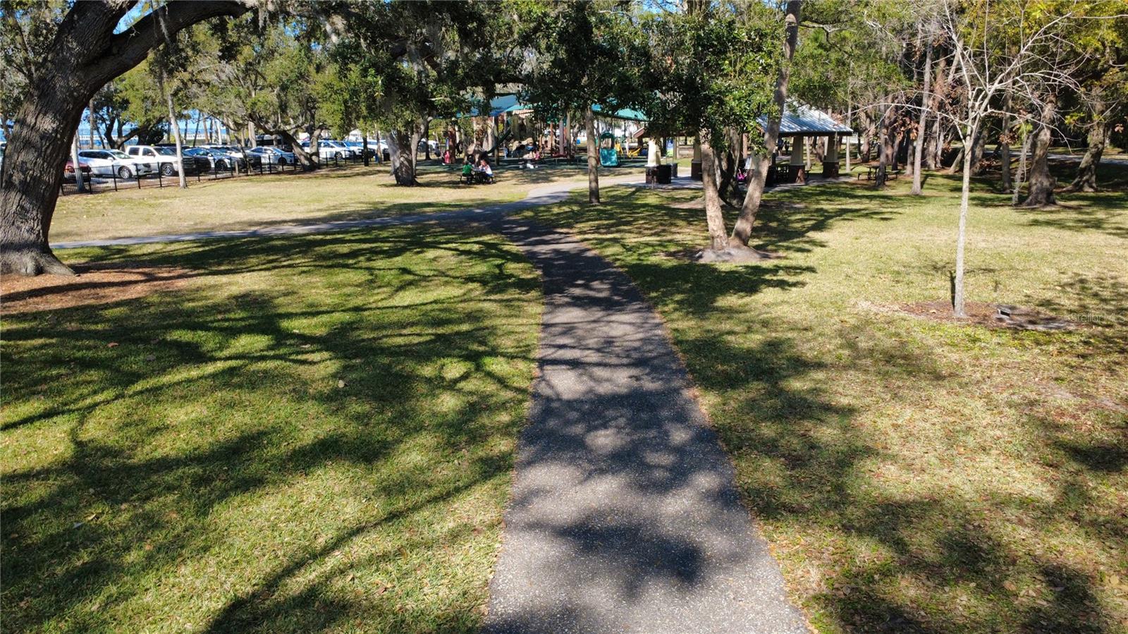 1136 DOUGLAS AVE, DUNEDIN, FL — photo 9