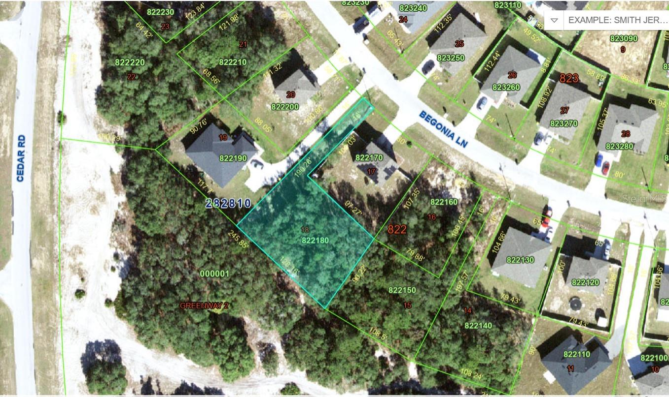 224 BEGONIA LN, KISSIMMEE, FL