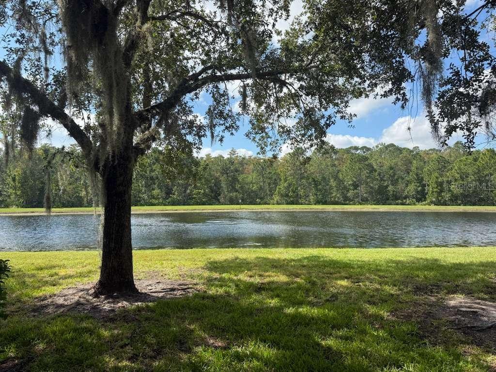 3460 VICTORIA PINES DR #160, ORLANDO, FL