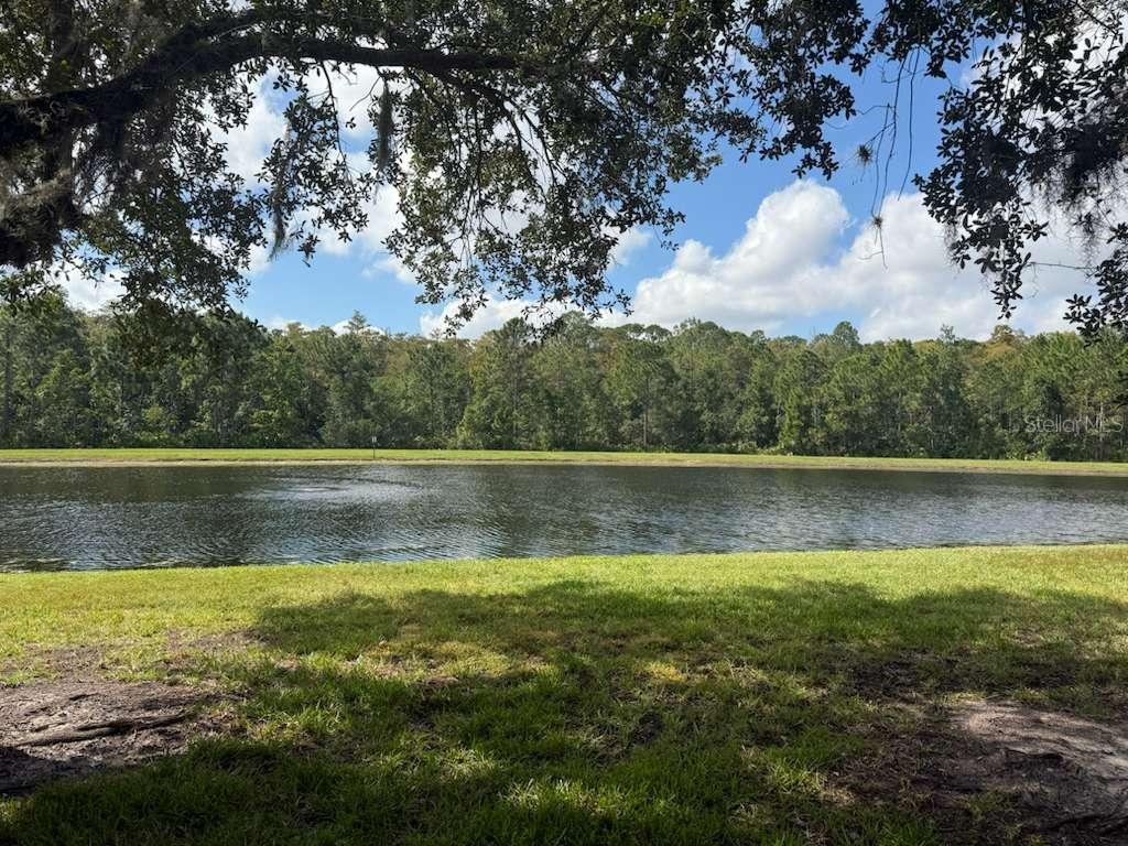 3460 VICTORIA PINES DR #160, ORLANDO, FL — photo 3