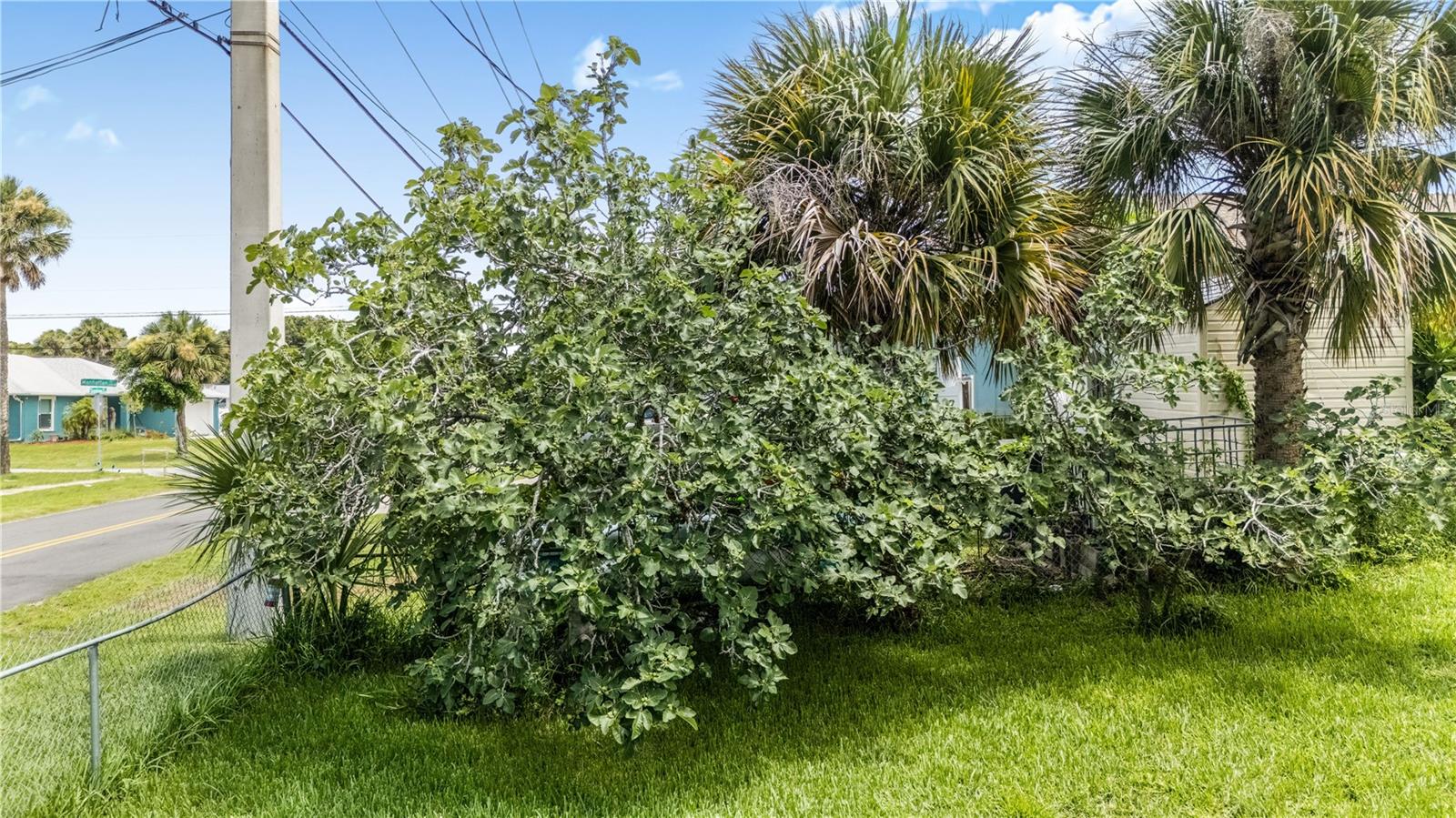 1420 N GRANDVIEW AVE, DAYTONA BEACH, FL — photo 9