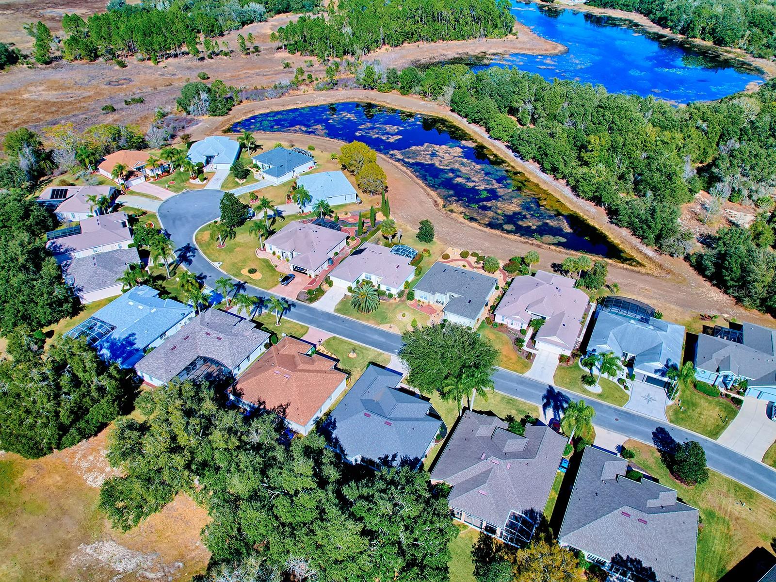 24239 BELLE MEDE DR, LEESBURG, FL — photo 72