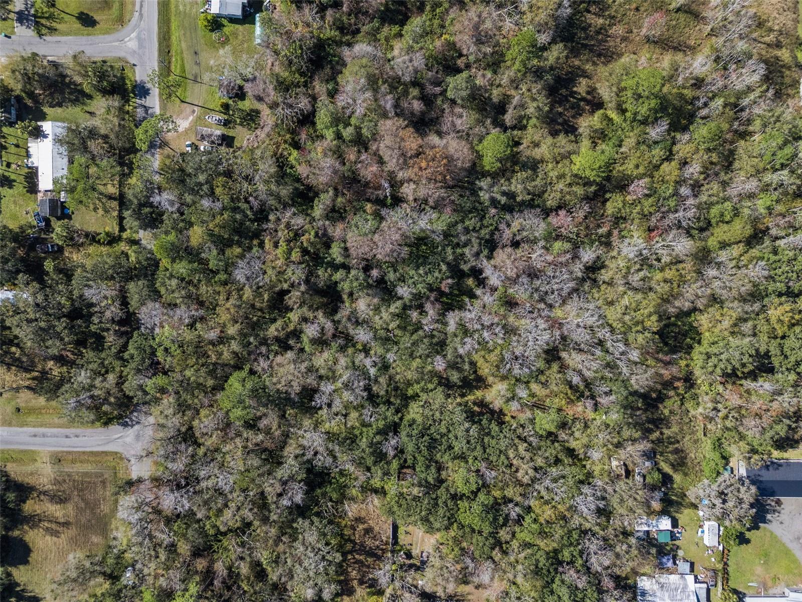 1002 BUIST ST, ORLANDO, FL — photo 8