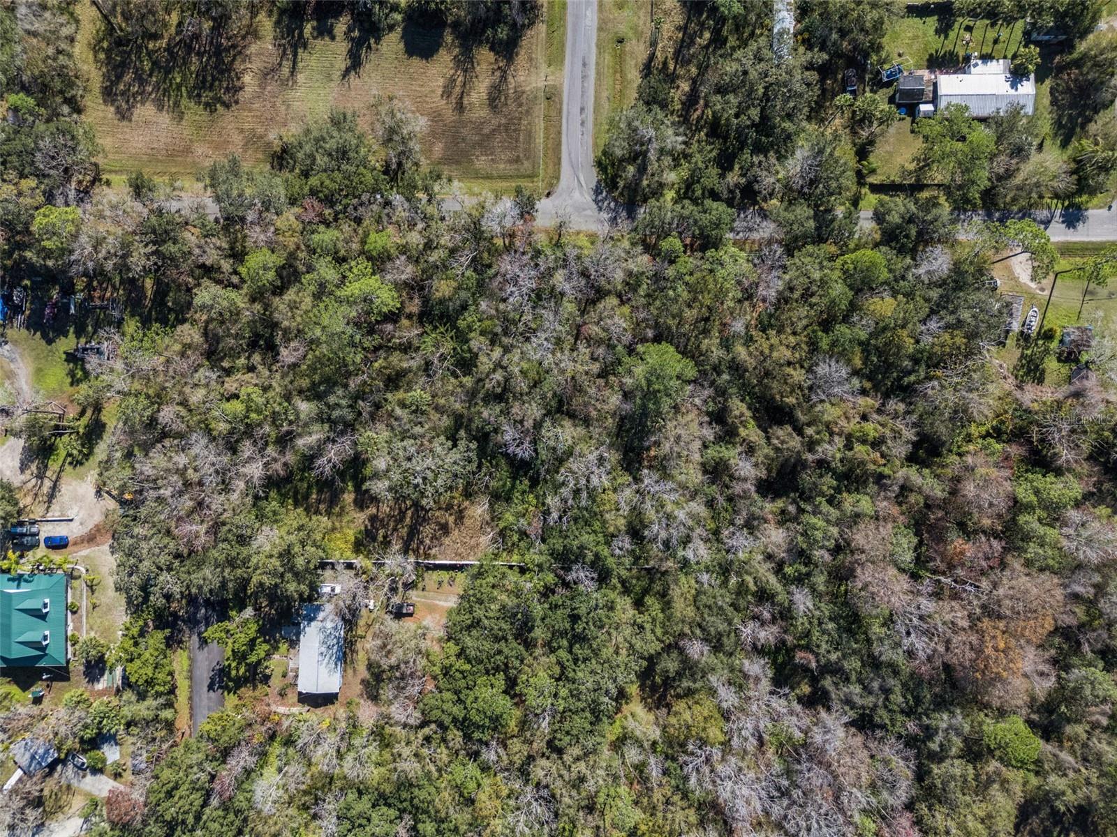 1002 BUIST ST, ORLANDO, FL — photo 10