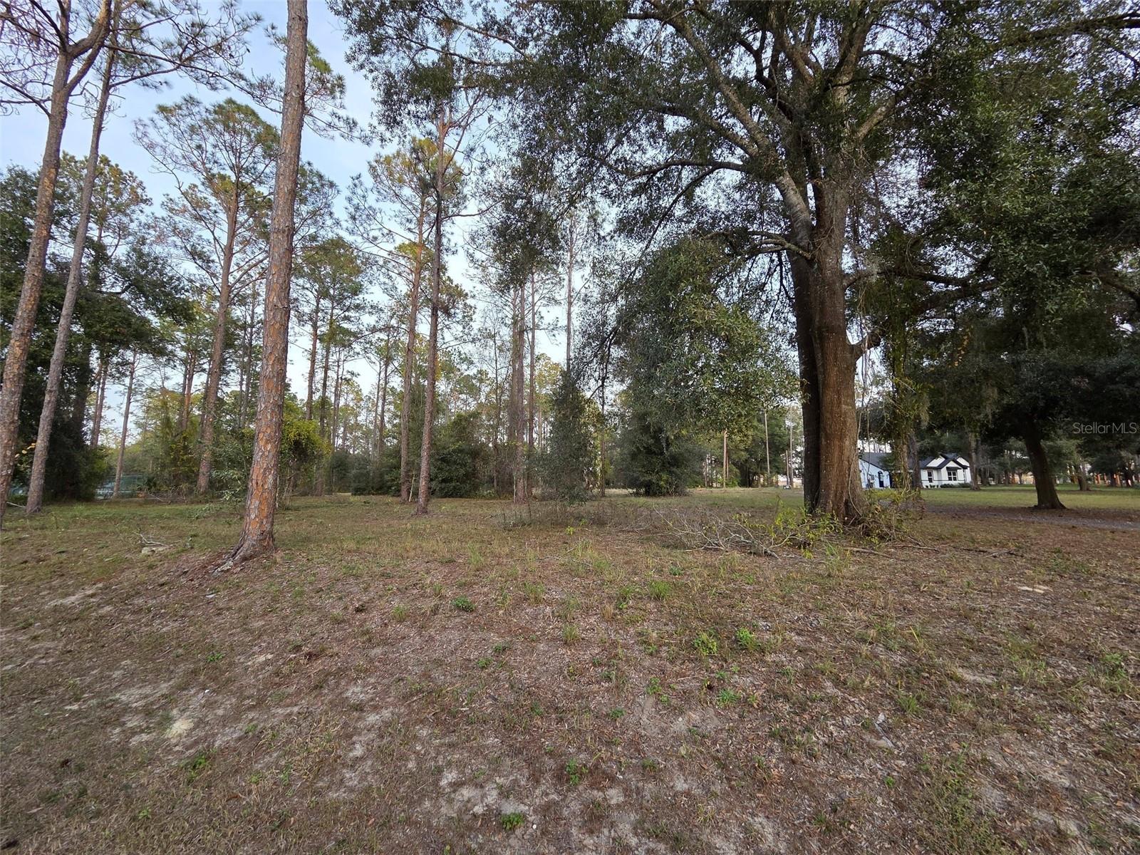 LOT 2 CLEARWATER WAY, GROVELAND, FL — photo 3
