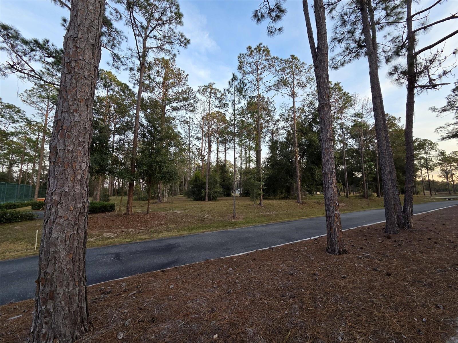 LOT 2 CLEARWATER WAY, GROVELAND, FL — photo 5
