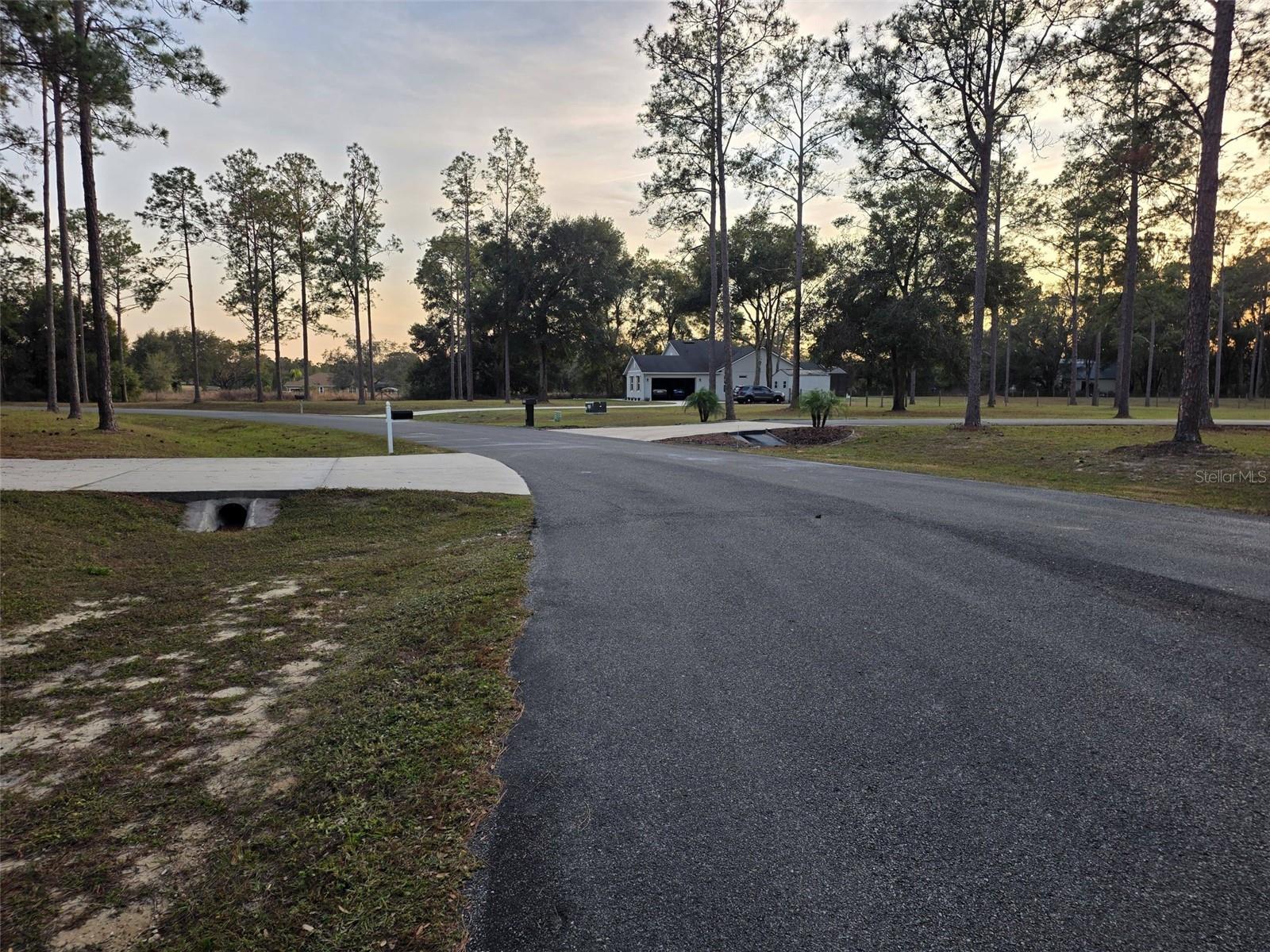 LOT 2 CLEARWATER WAY, GROVELAND, FL — photo 11