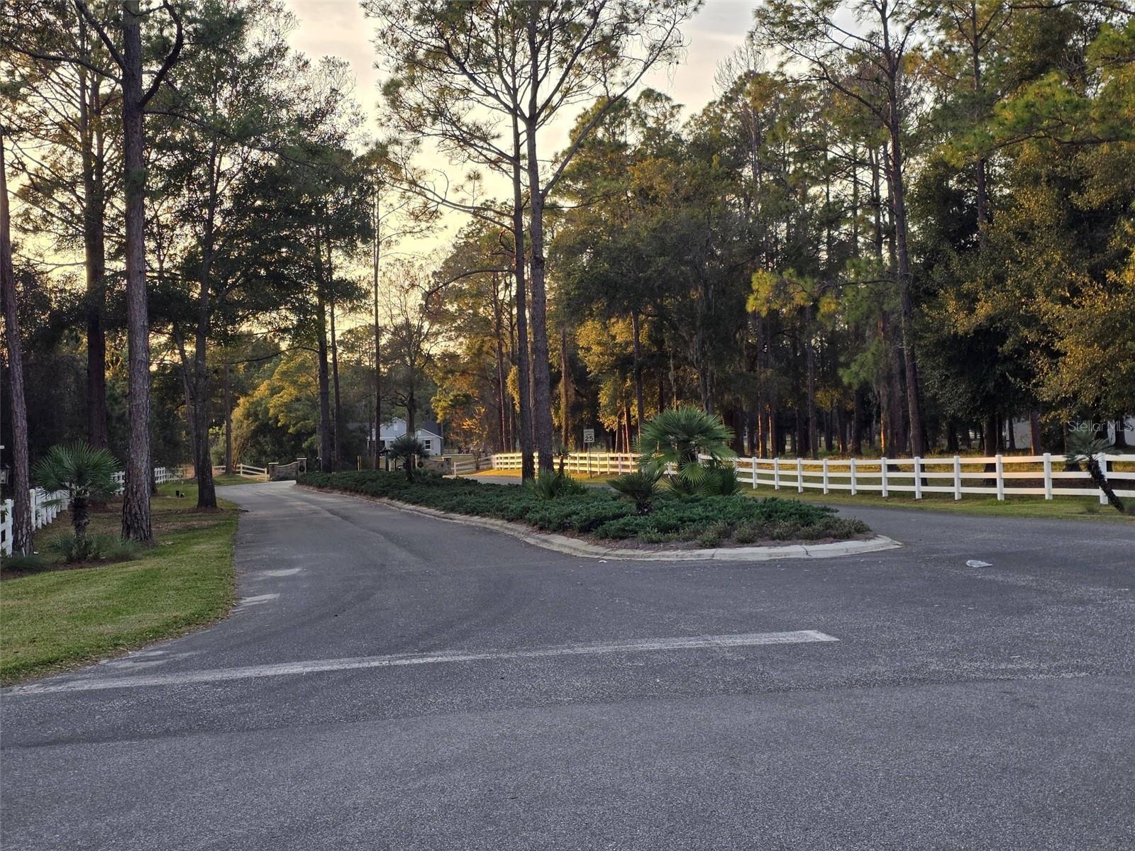 LOT 2 CLEARWATER WAY, GROVELAND, FL — photo 14