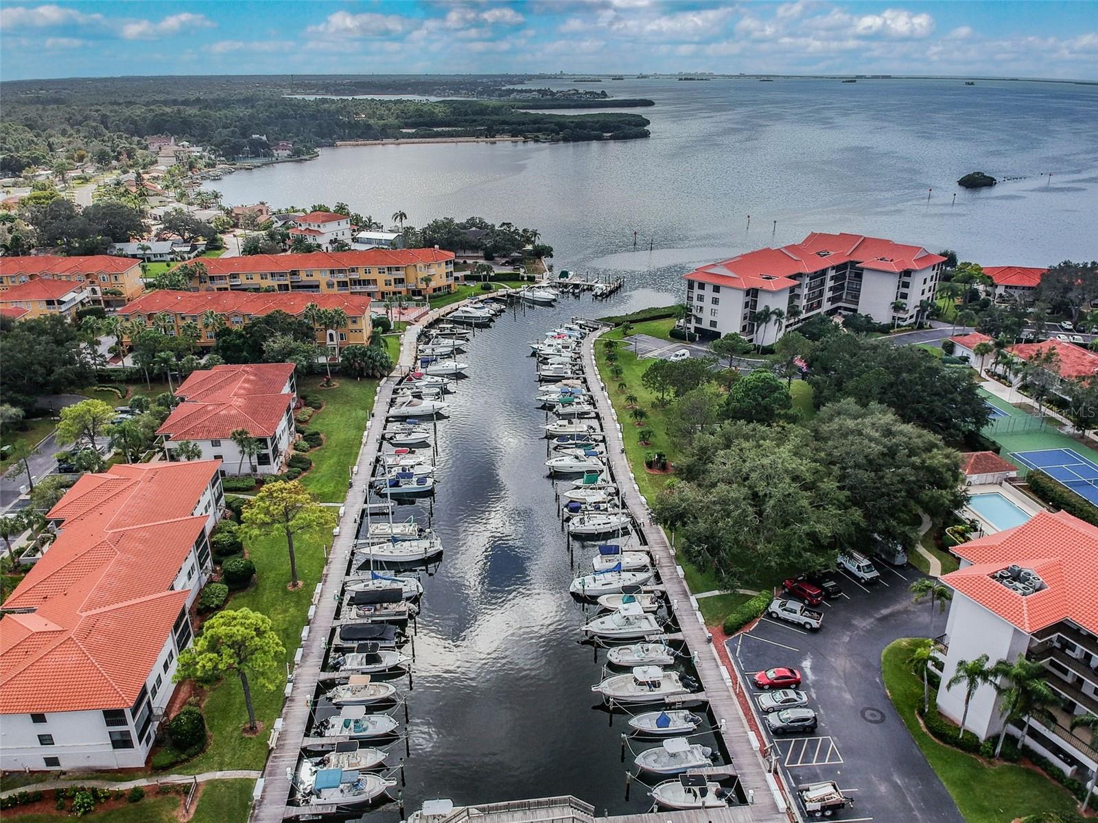 301 MARINER DR #301, TARPON SPRINGS, FL — photo 34